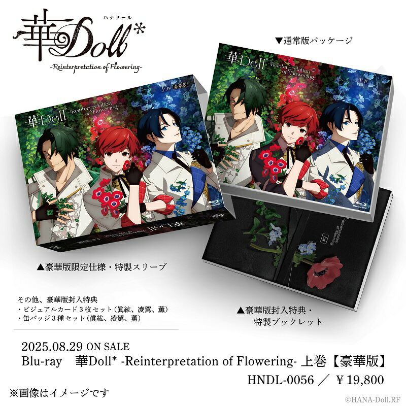 �ڳ�ŷ�֥å�������������ŵ�۲�Doll*-ReinterpretationofFlowering-�崬(�����)��Blu-ray��(���̼̿��֥��ޥ���3�祻�å�(�崬������))