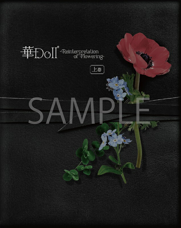 �ڳ�ŷ�֥å�������������ŵ�۲�Doll*-ReinterpretationofFlowering-�崬(�����)��Blu-ray��(���̼̿��֥��ޥ���3�祻�å�(�崬������))