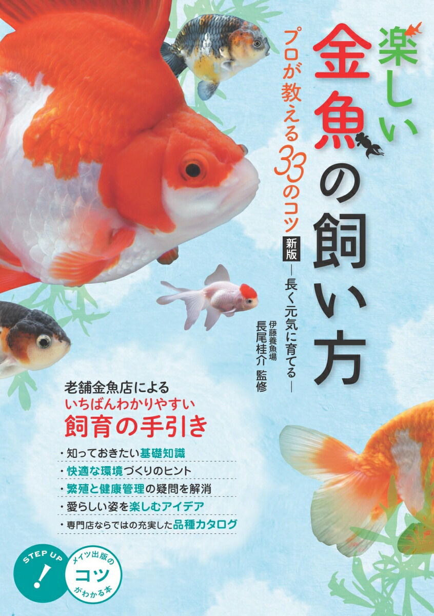 ڤλץ33ΥĿǏĹ˰Ƥ돢[Ĺ˲]
