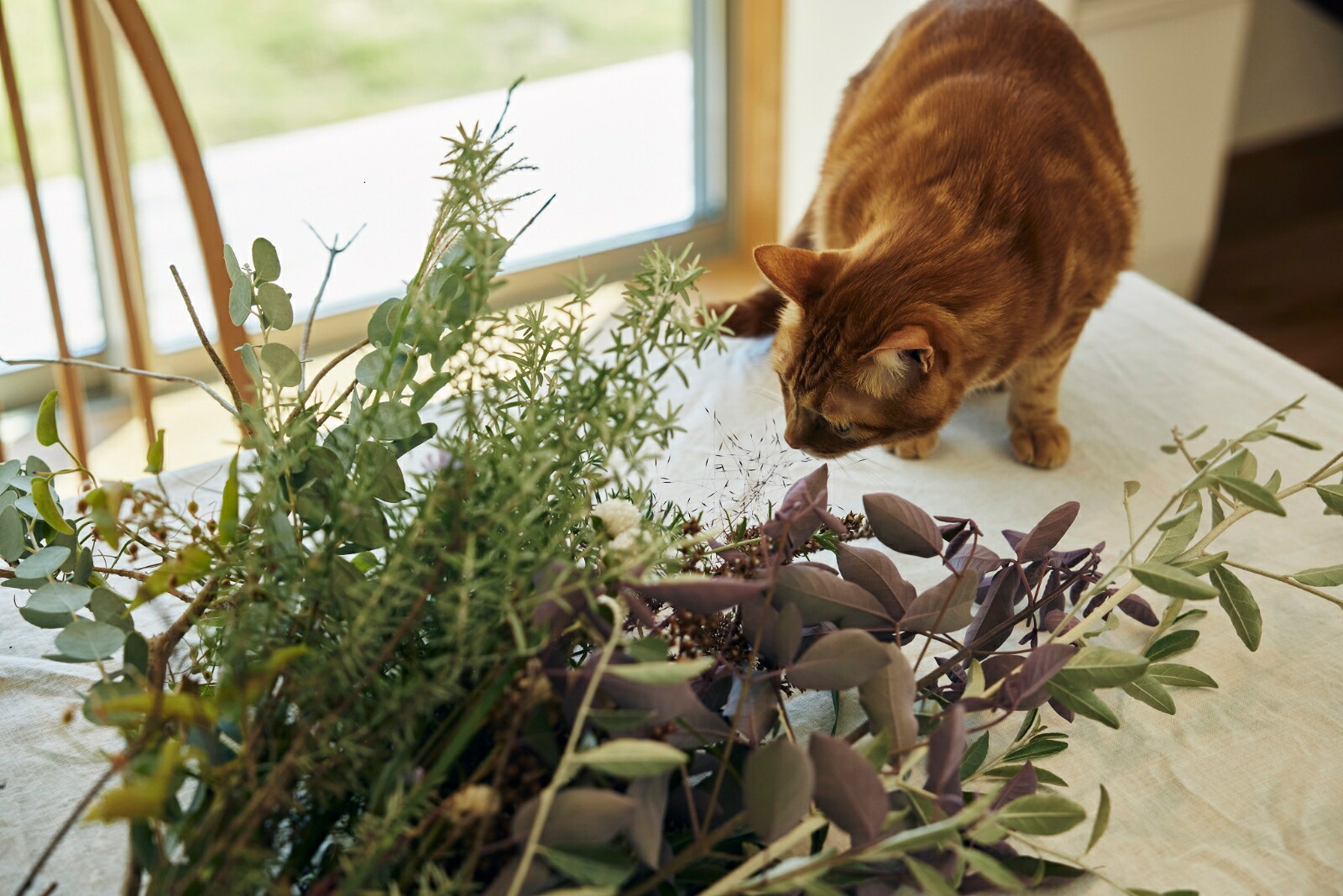 �������ʡ����פΤ�����餷[¿����Τ]