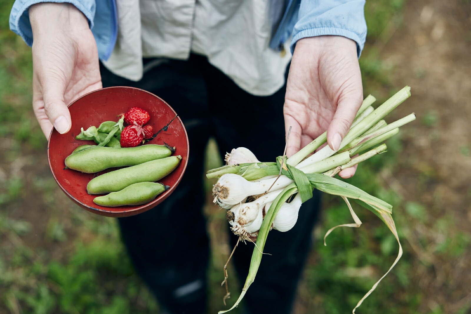 �������ʡ����פΤ�����餷[¿����Τ]