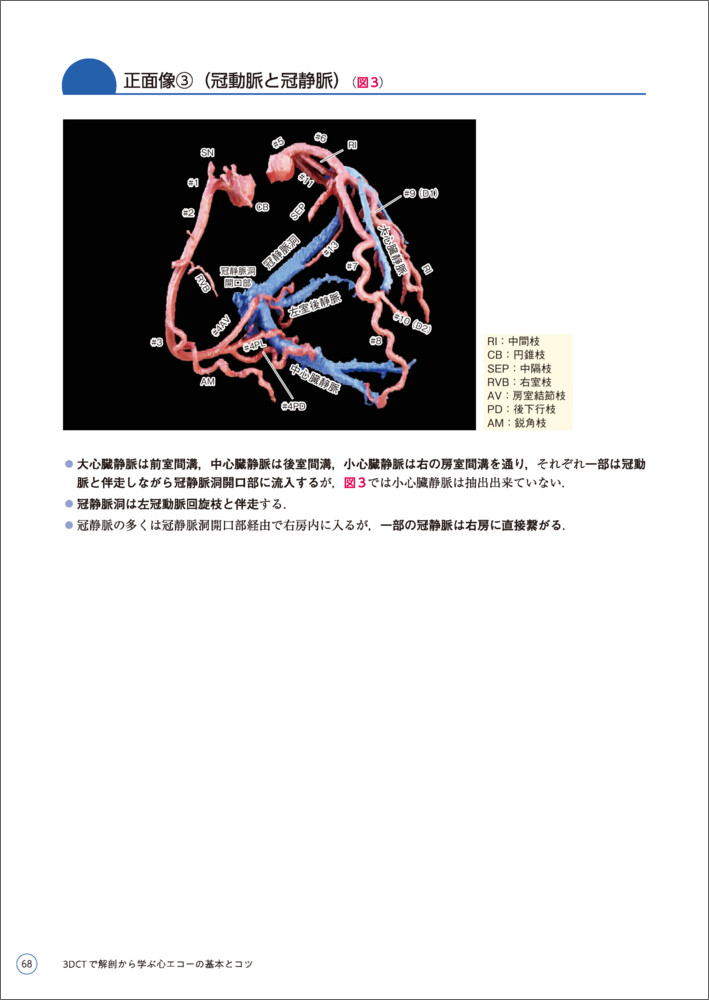 3DCTで解剖から学ぶ心エコーの基本とコツ[大門雅夫]