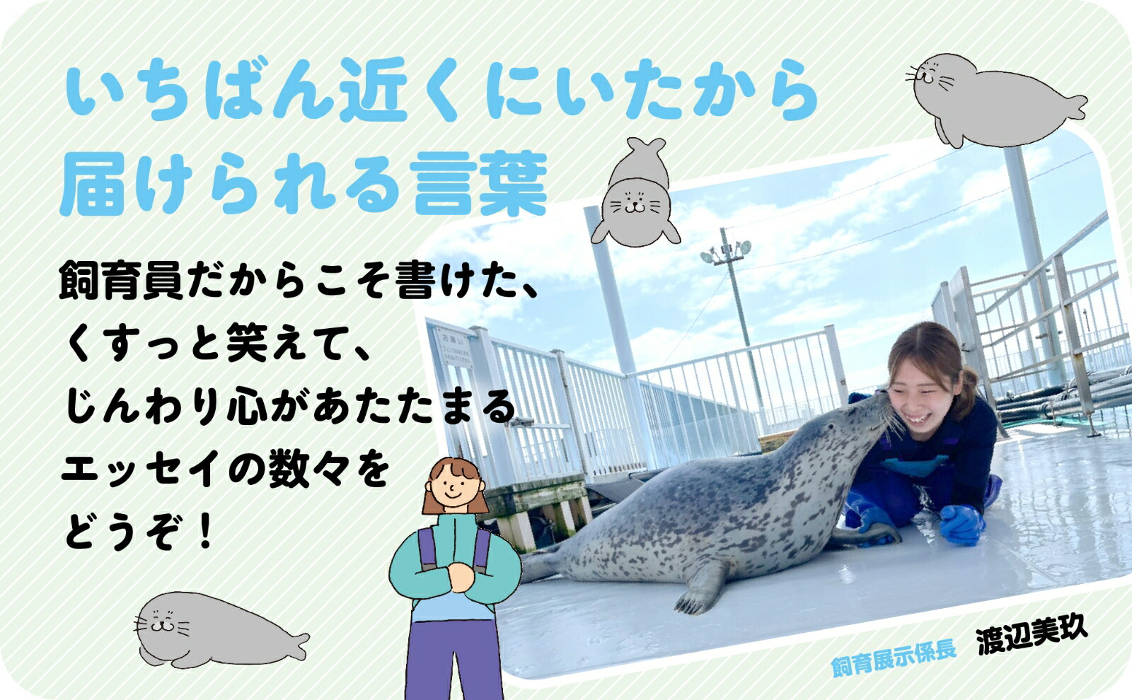 ��äȥ����Ȥ�����ʬ�饷��[���ۡ��ĥ��Ȥä��ꥻ�󥿡�]