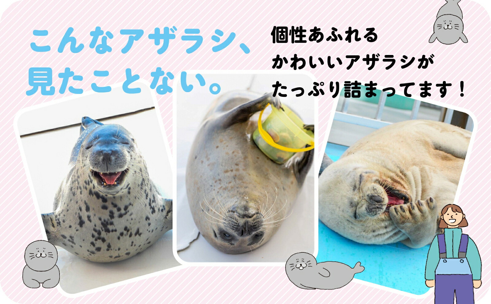 ��äȥ����Ȥ�����ʬ�饷��[���ۡ��ĥ��Ȥä��ꥻ�󥿡�]