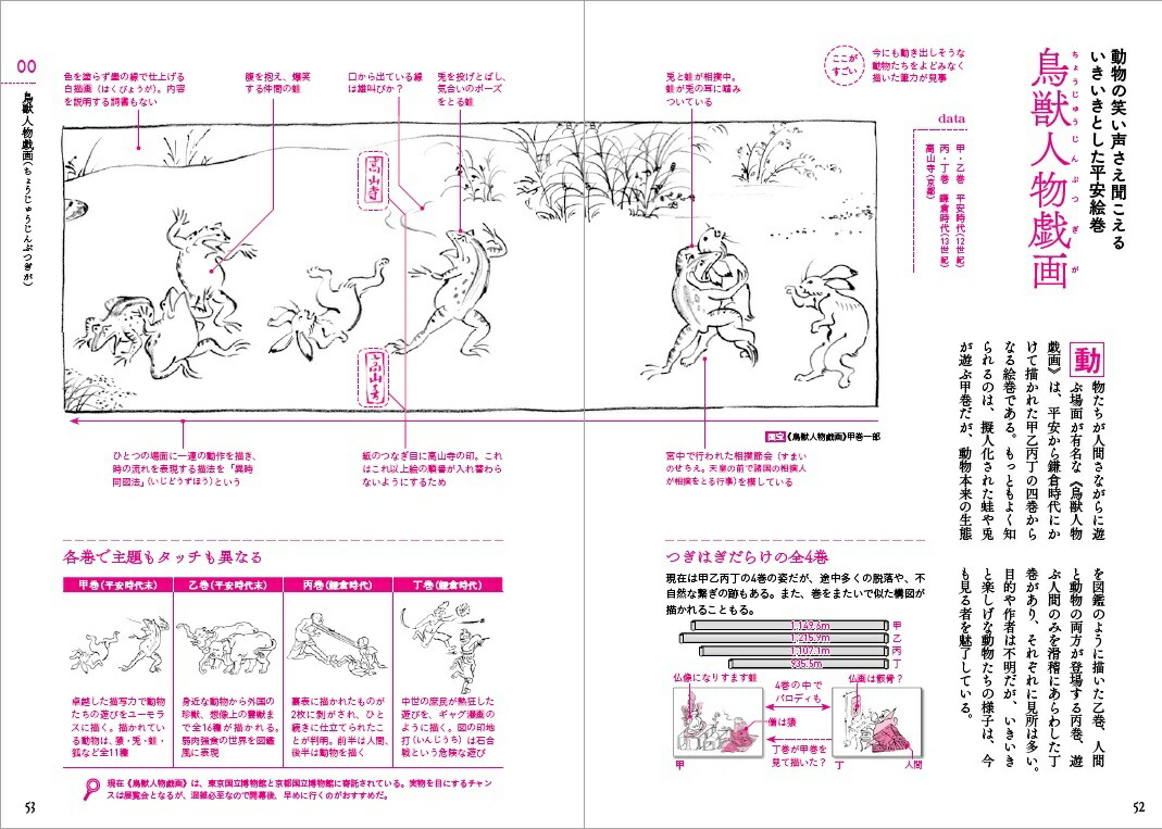 楽天ブックス 国宝の解剖図鑑 佐藤晃子 本