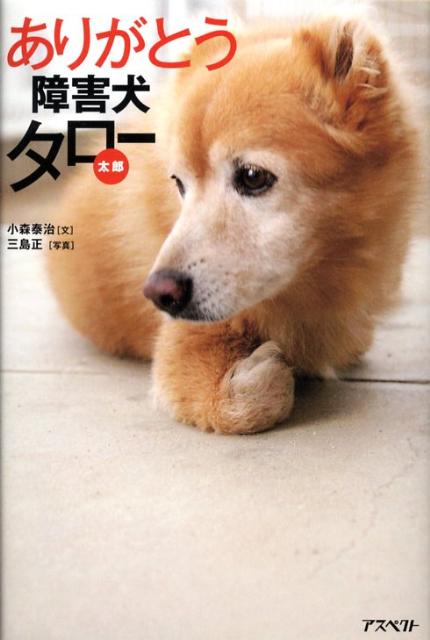 楽天ブックス ありがとう障害犬タロー 太郎 小森泰治 本