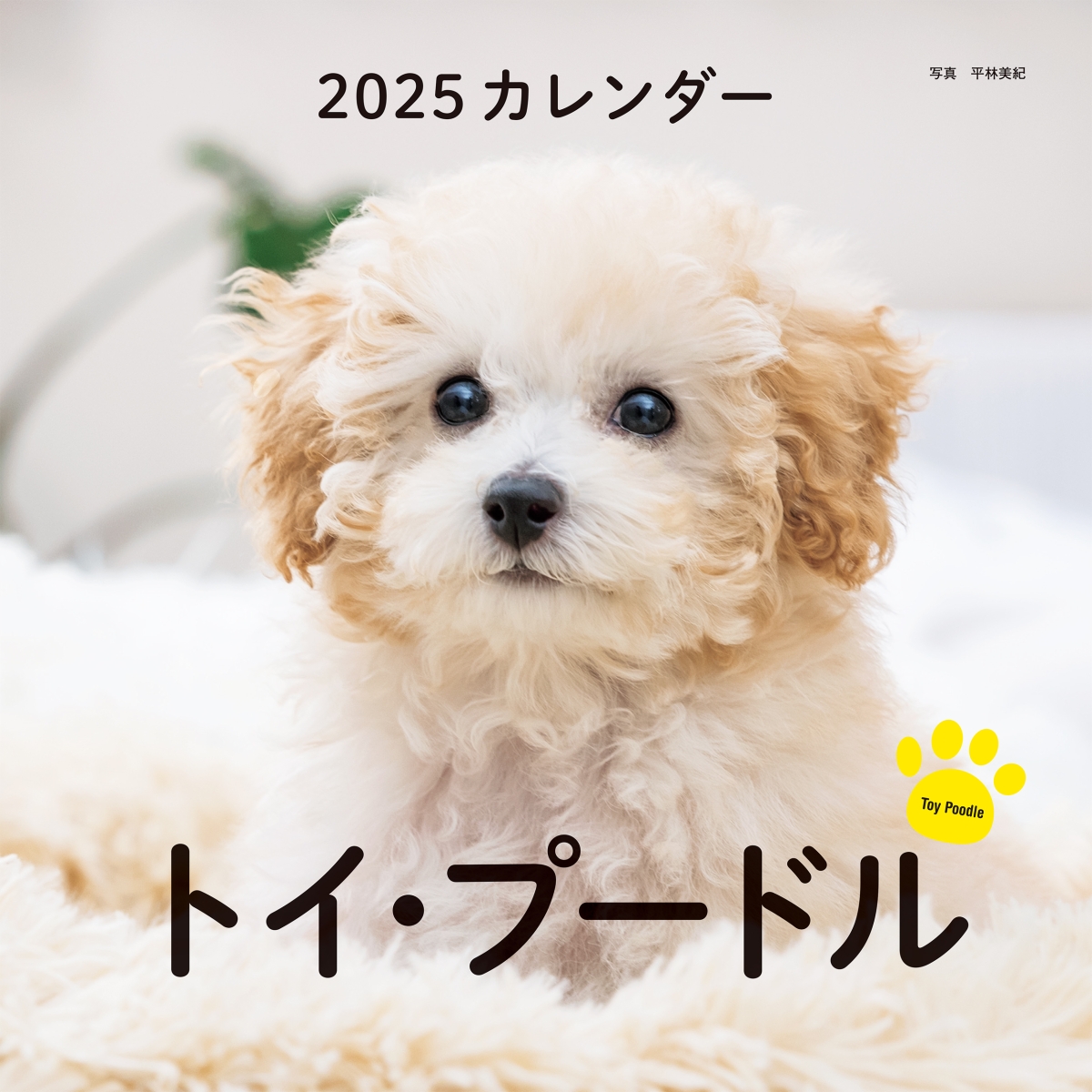 2025年カレンダー トイ・プードル