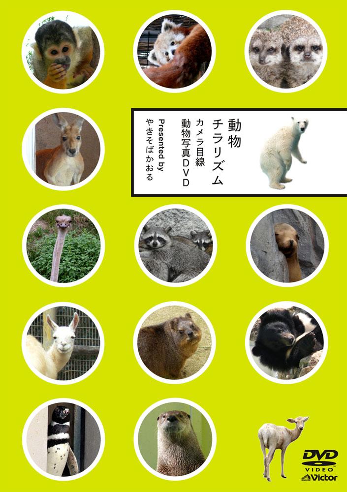 楽天ブックス: 動物チラリズム カメラ目線動物写真DVD - 清水ミチコ