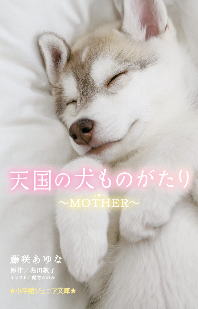 天国の犬ものがたり～MOTHER～ （小学館ジュニア文庫）