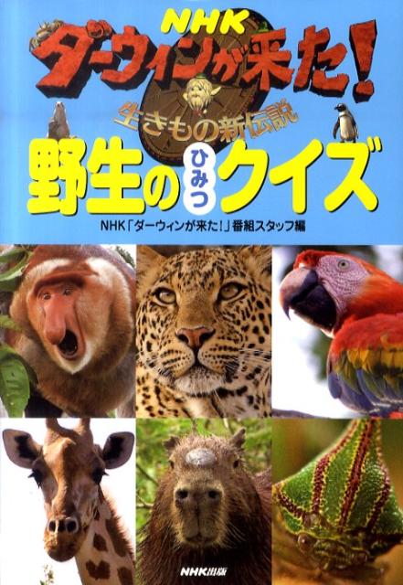 楽天ブックス Nhkダーウィンが来た 野生のひみつクイズ 生きもの新伝説 日本放送協会 本