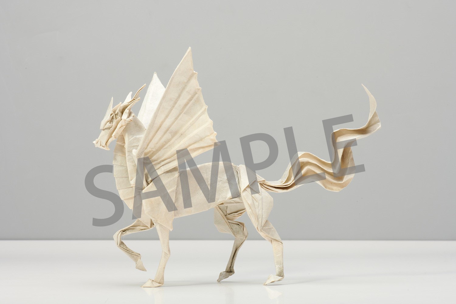 �ڳ�ŷ�֥å���������ŵ��Ķ��Τ��꤬��(��Ƚ���꤬��78���դ����å�)[������]