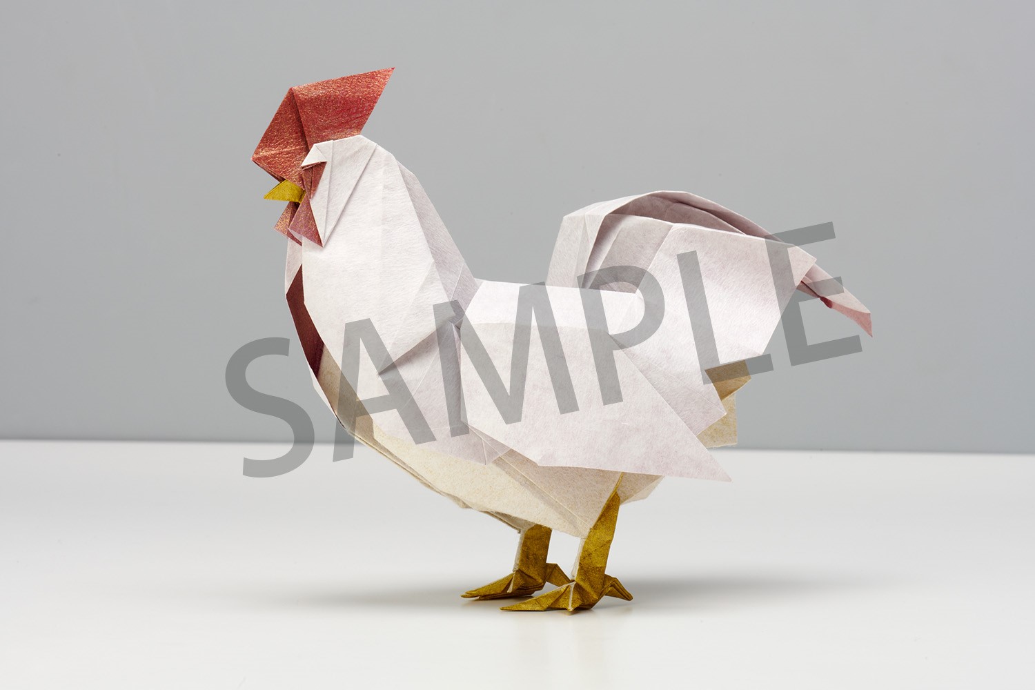 �ڳ�ŷ�֥å���������ŵ��Ķ��Τ��꤬��(��Ƚ���꤬��78���դ����å�)[������]