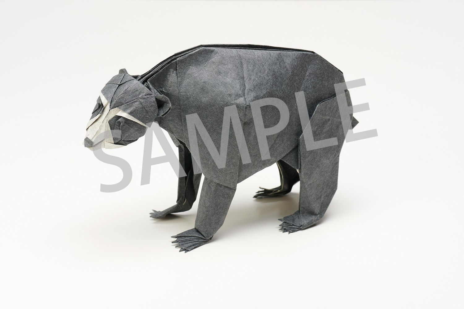 �ڳ�ŷ�֥å���������ŵ��Ķ��Τ��꤬��(��Ƚ���꤬��78���դ����å�)[������]