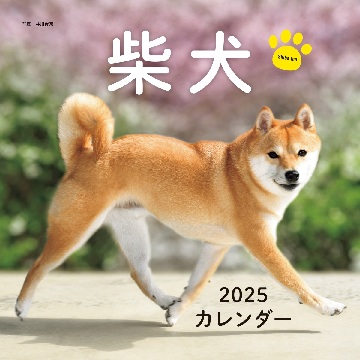 2025年カレンダー 柴犬