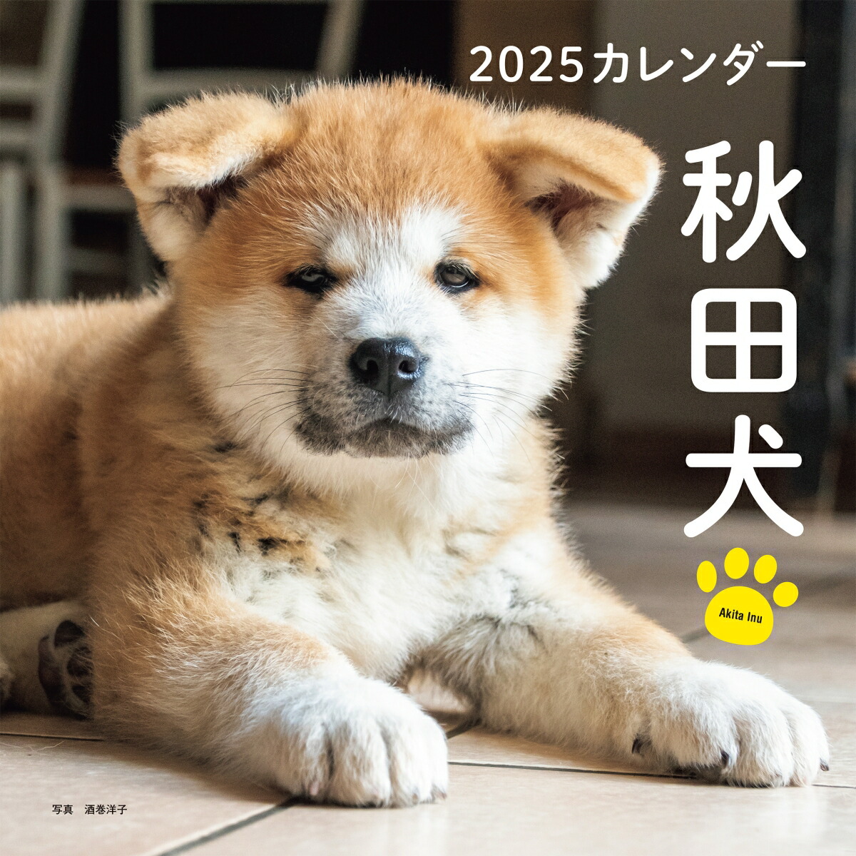 2025ǯĸʸƲҥ[λ]