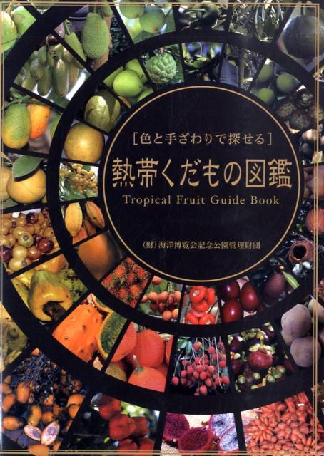 楽天ブックス 熱帯くだもの図鑑 色と手ざわりで探せる 海洋博覧会記念公園管理財団 本