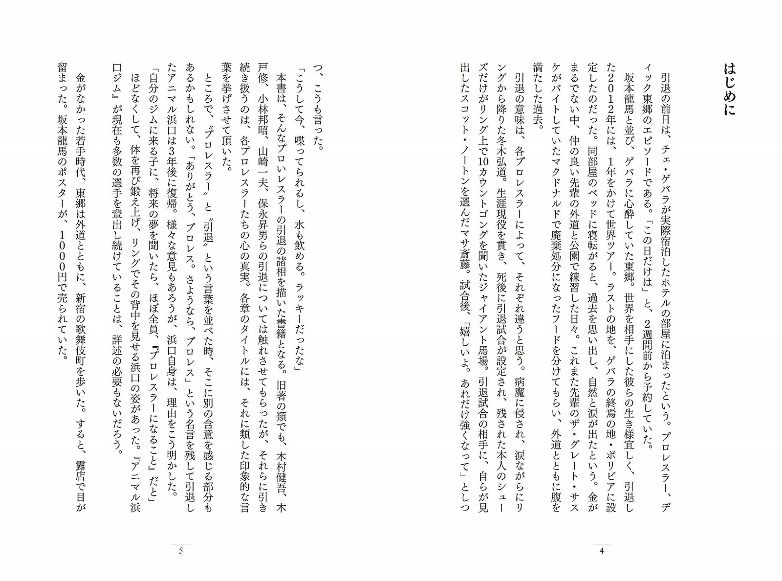 さよなら、プロレス伝説の23人のレスラー、その引退の真実と最後の言葉[瑞佐富郎]