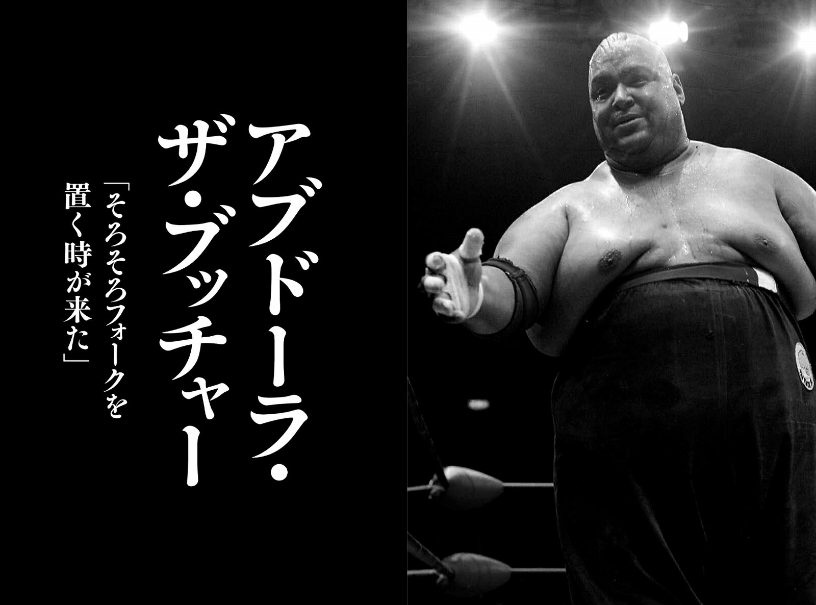 さよなら、プロレス伝説の23人のレスラー、その引退の真実と最後の言葉[瑞佐富郎]