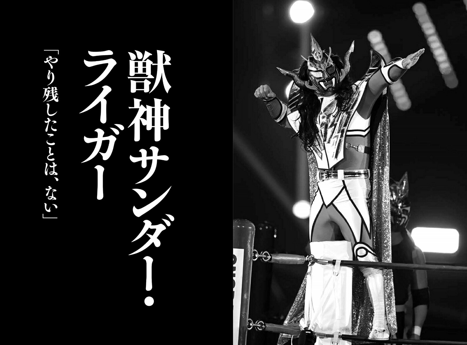さよなら、プロレス伝説の23人のレスラー、その引退の真実と最後の言葉[瑞佐富郎]
