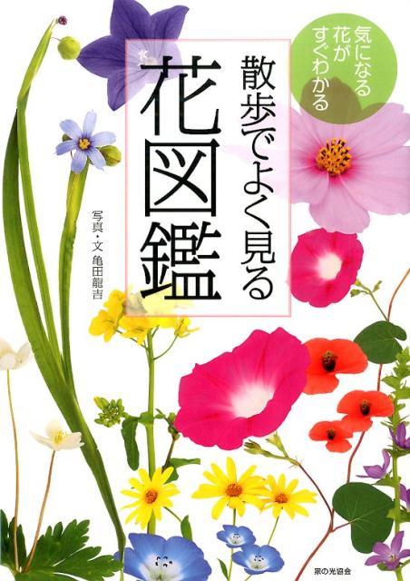 楽天ブックス 散歩でよく見る花図鑑 気になる花がすぐわかる 亀田竜吉 本