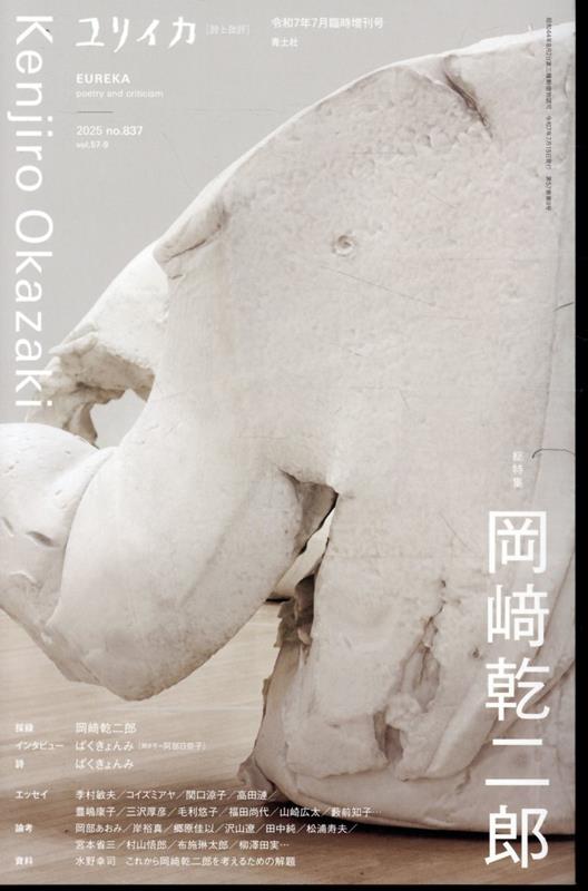 楽天市場】【サイン入り】岡崎乾二郎 視覚のカイソウ : 京都 蔦