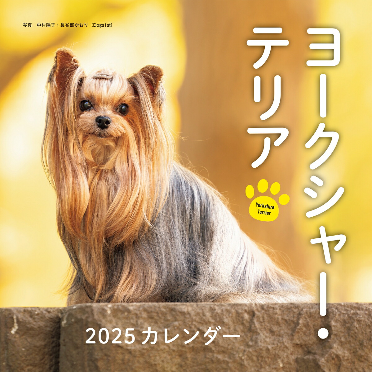 楽天市場】［公式］PICTWANカレンダー 2026年【L判】ヨークシャー