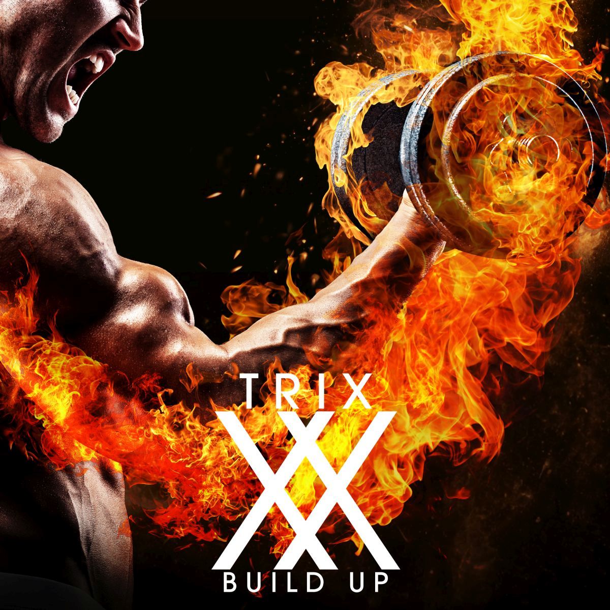 楽天ブックス: BUILD UP - TRIX - 4988003634650 : CD