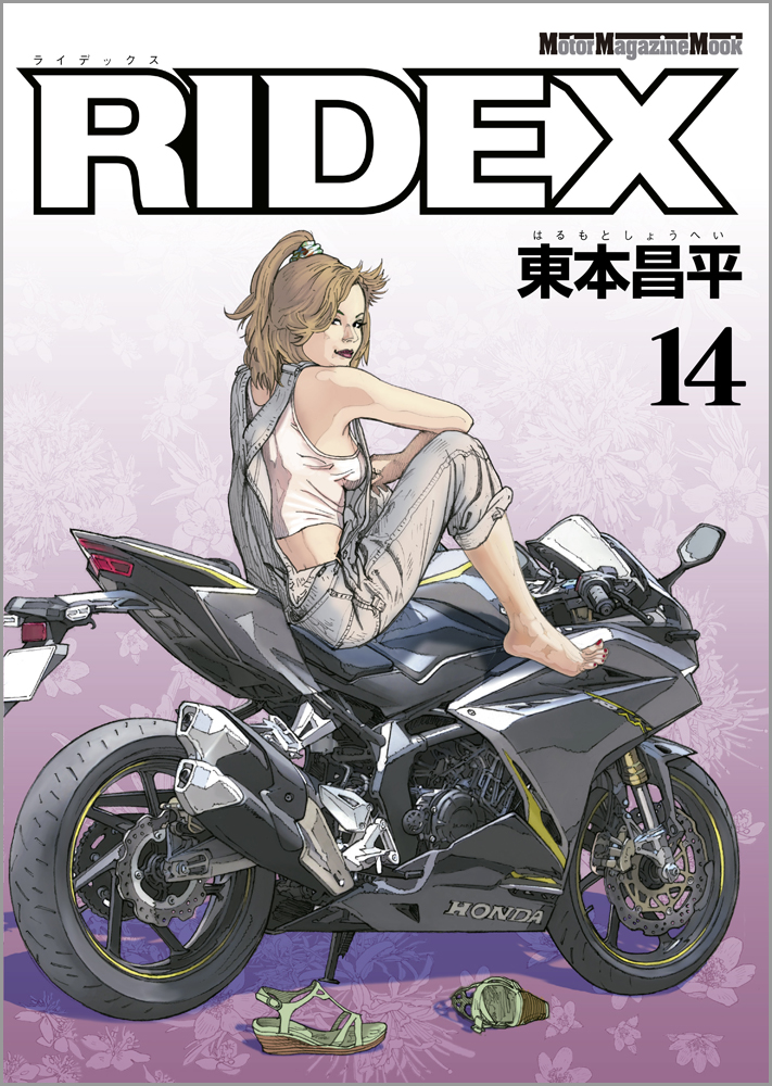 RIDEX 1〜17巻➕雨はこれから1,2巻 東本昌平 - 全巻セット