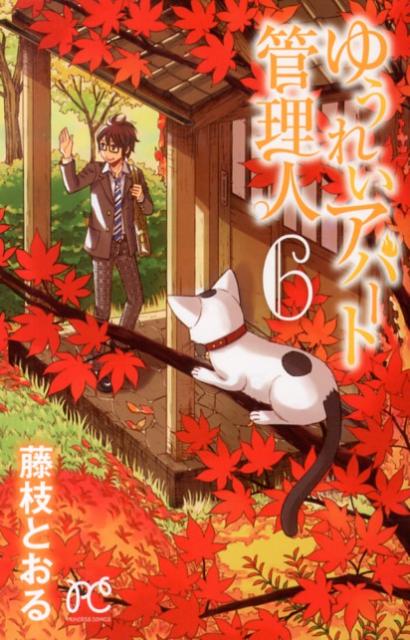 �椦�줤���ѡ��ȴ����͡�6�ˡʥץ�󥻥����ߥå�����[ƣ�ޤȤ���]