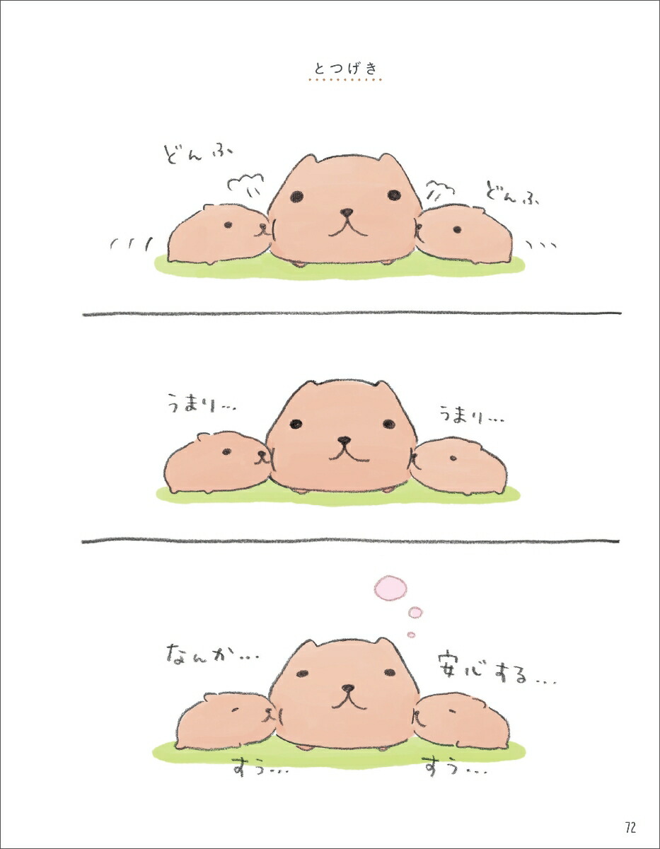 楽天ブックス カピバラさんのまいにち チダ ケイコ 本