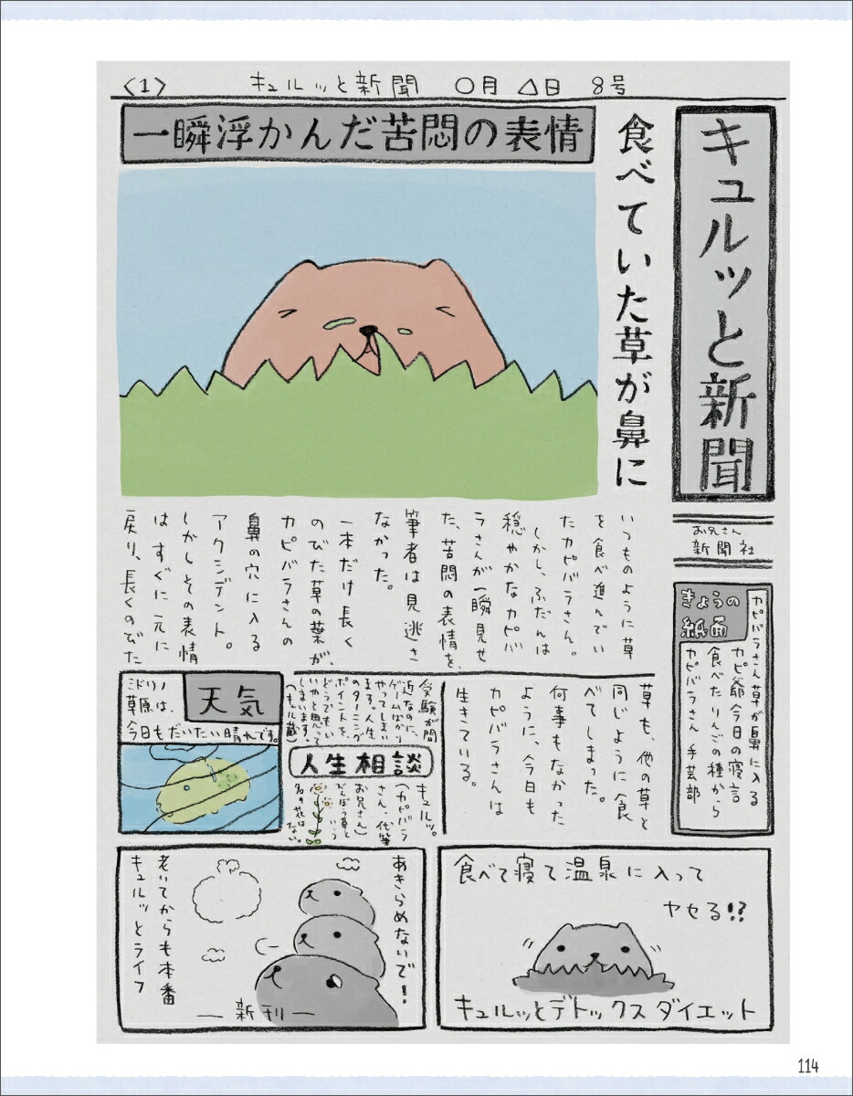 楽天ブックス カピバラさんのまいにち チダ ケイコ 本