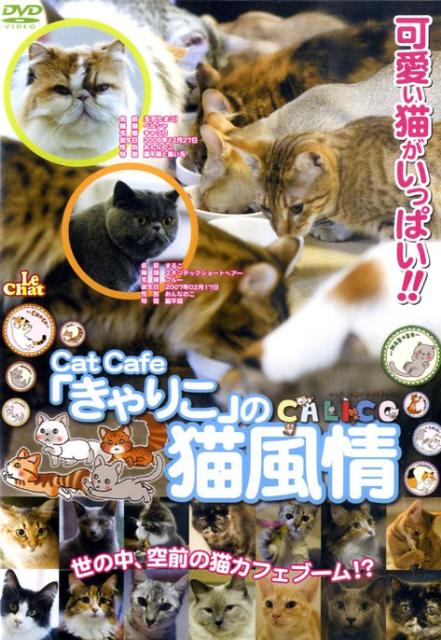 楽天ブックス: DVD＞Cat Cafeきゃりこの猫風情 - 9784862174673 : 本