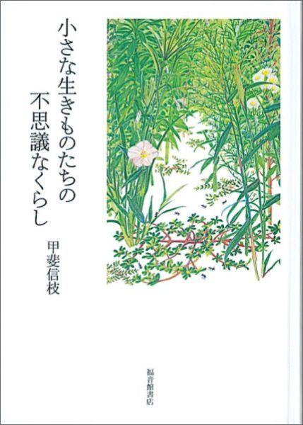 小さな生きものたちの不思議なくらし（福音館の単行本）[甲斐信枝]