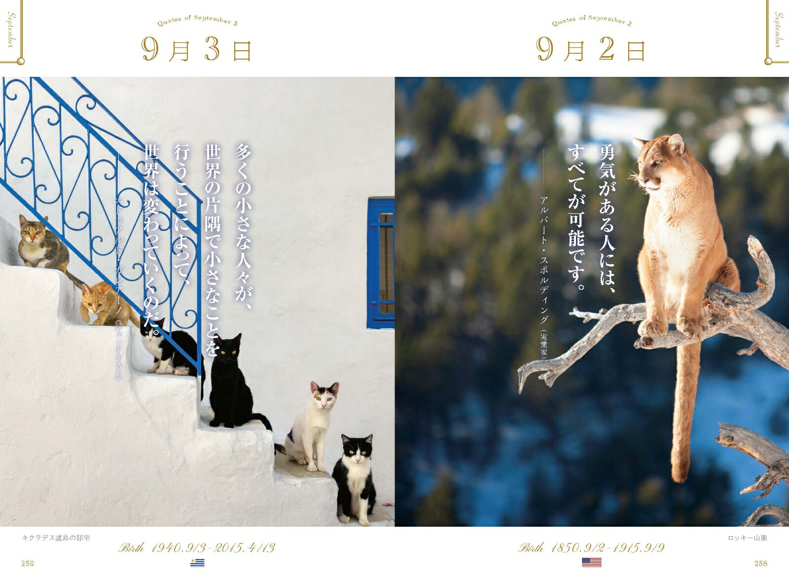 ���ڤʤ��Ȥ˵��Ť�365��̾����ι������ǭ��[WRITESPUBLISHING]