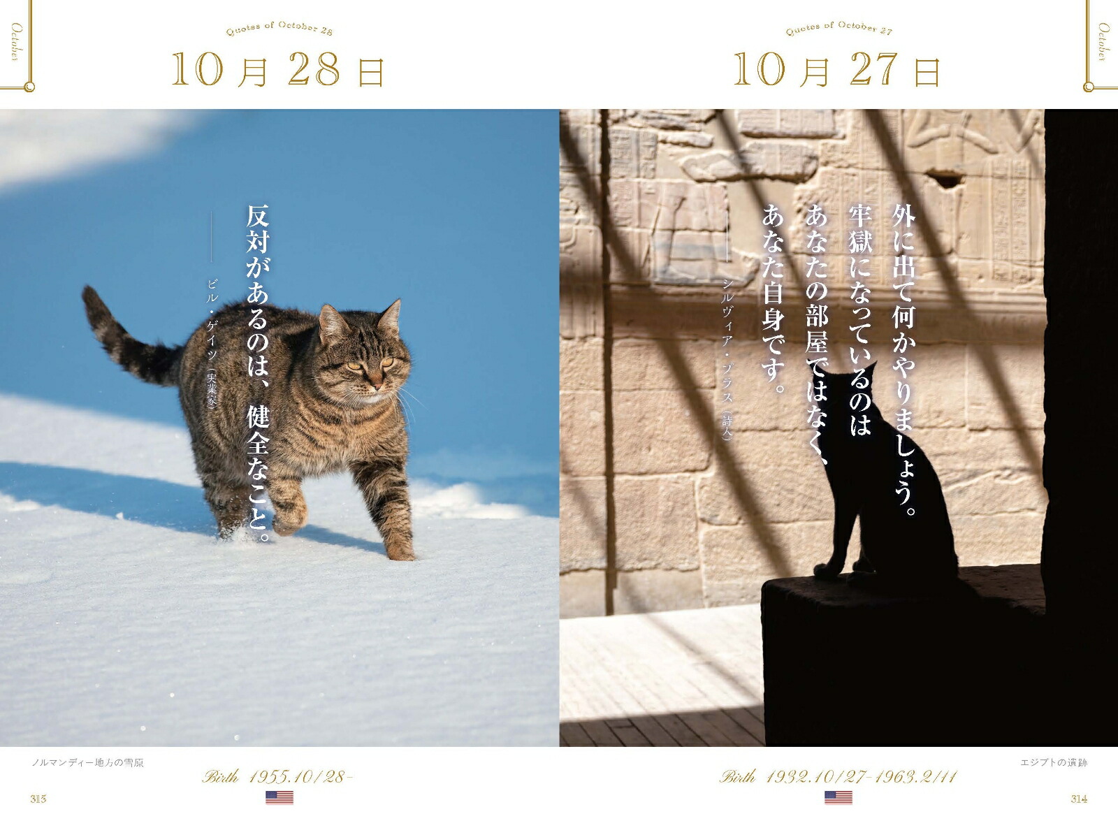 ���ڤʤ��Ȥ˵��Ť�365��̾����ι������ǭ��[WRITESPUBLISHING]