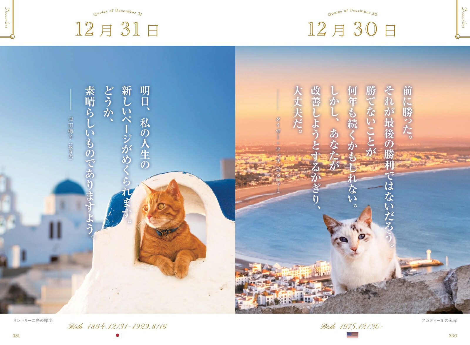 ���ڤʤ��Ȥ˵��Ť�365��̾����ι������ǭ��[WRITESPUBLISHING]