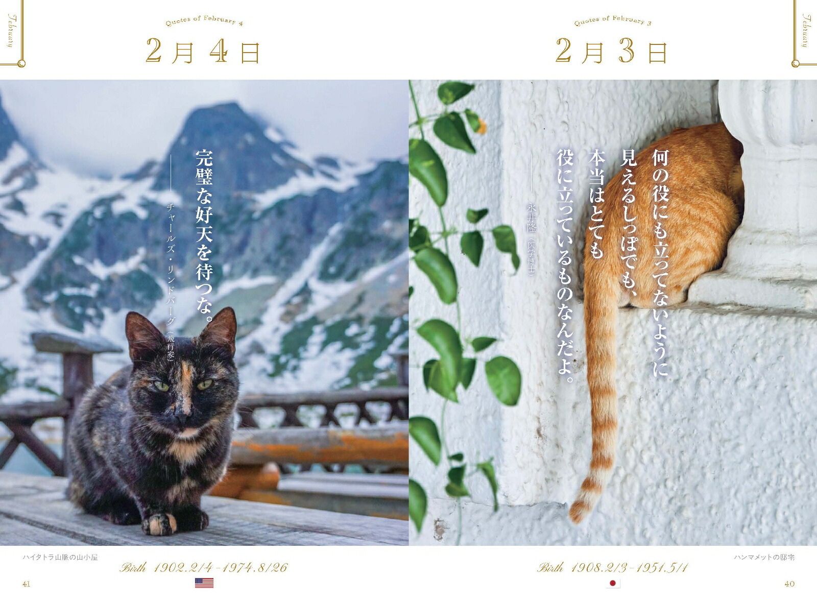 ���ڤʤ��Ȥ˵��Ť�365��̾����ι������ǭ��[WRITESPUBLISHING]