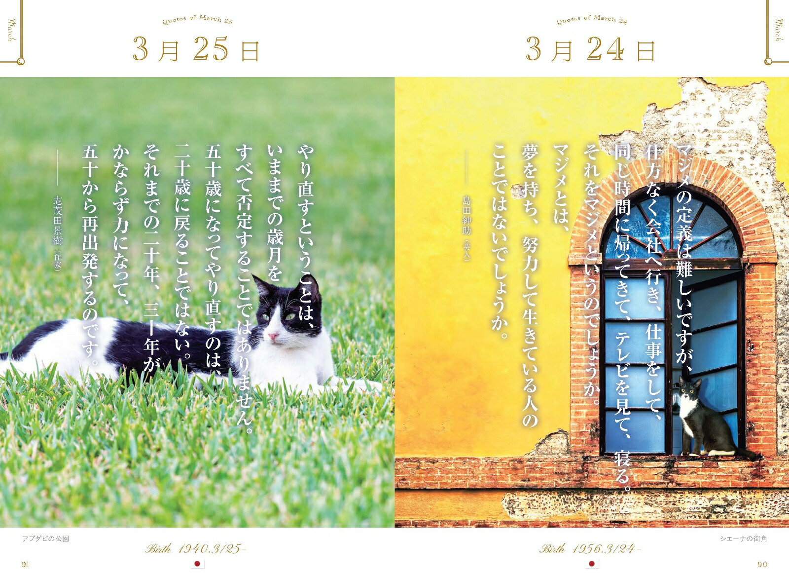 ���ڤʤ��Ȥ˵��Ť�365��̾����ι������ǭ��[WRITESPUBLISHING]