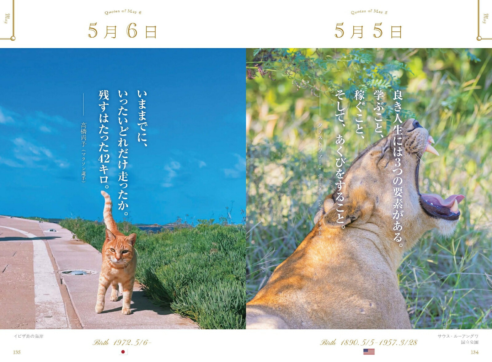 ���ڤʤ��Ȥ˵��Ť�365��̾����ι������ǭ��[WRITESPUBLISHING]