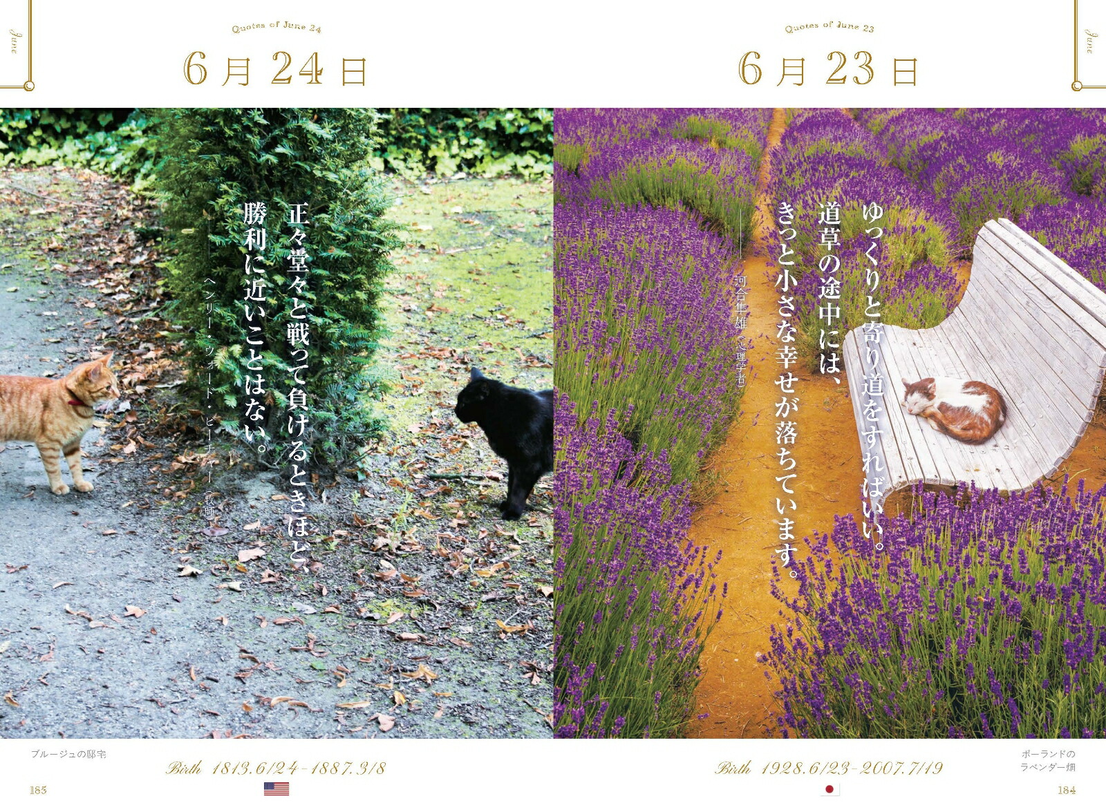 ���ڤʤ��Ȥ˵��Ť�365��̾����ι������ǭ��[WRITESPUBLISHING]