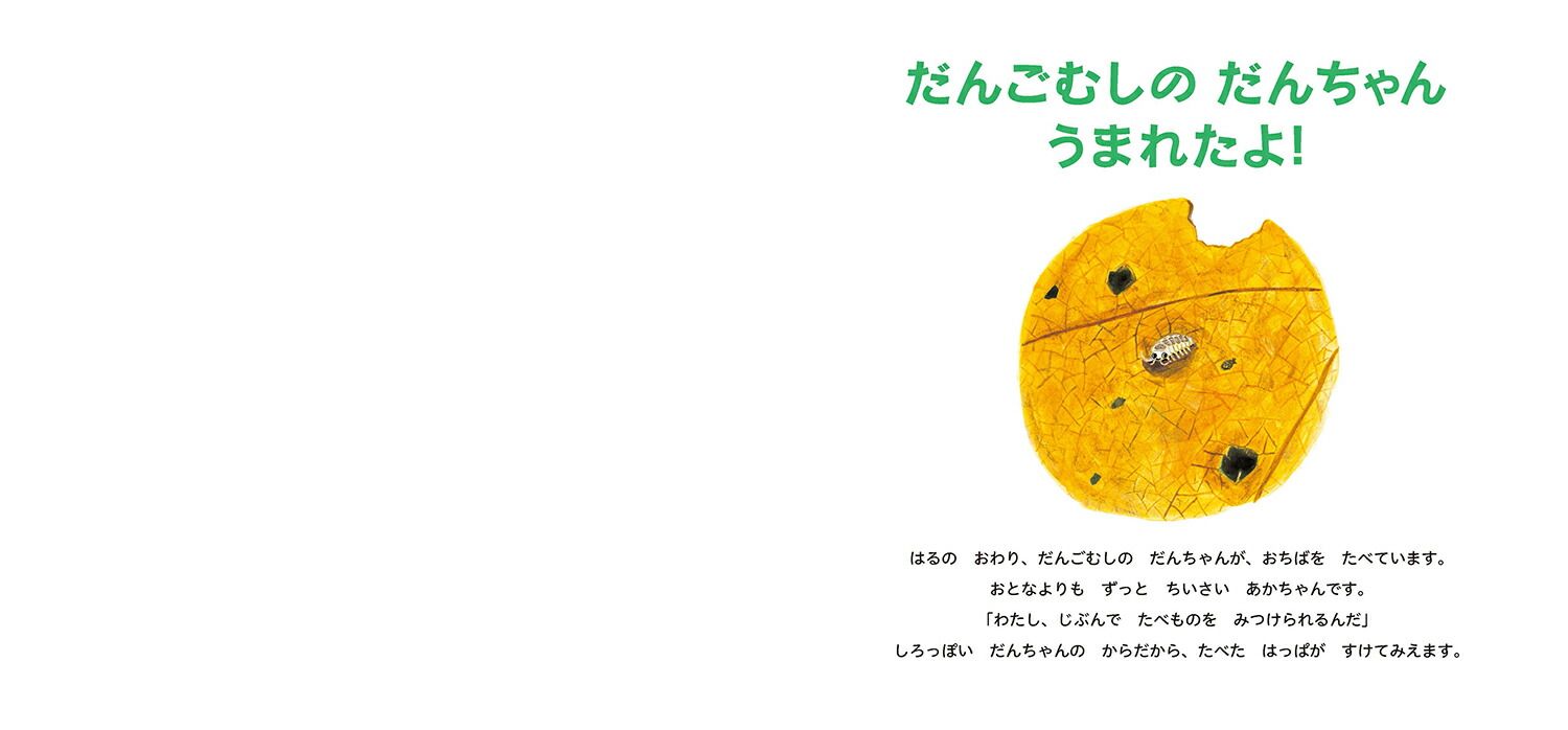 󤴤षΤ󤦤ޤ줿衪ʤषΤޤ4[ߤ]