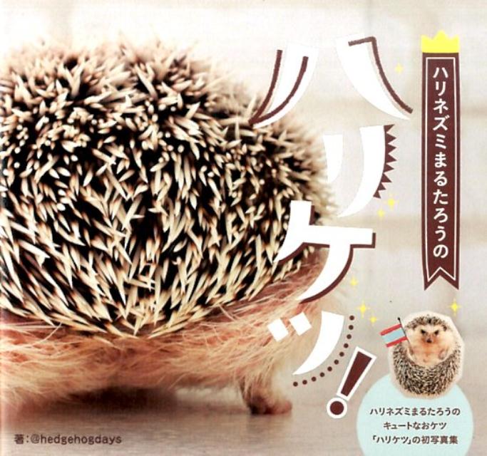 楽天ブックス ハリネズミまるたろうのハリケツ Hedgehogdays 本