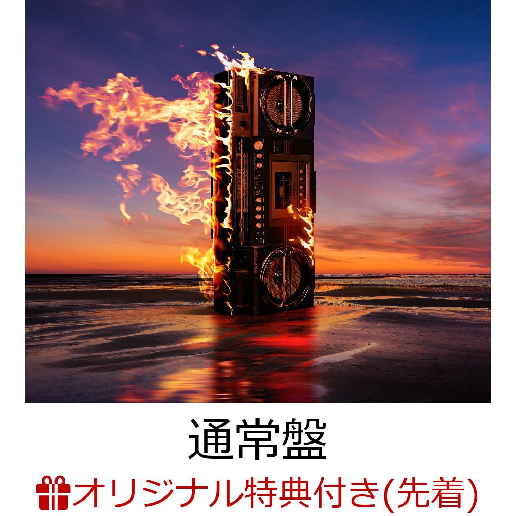 �ڳ�ŷ�֥å�������������ŵ��FYOP(�̾���)(�ե��󥿥�)[B'z]