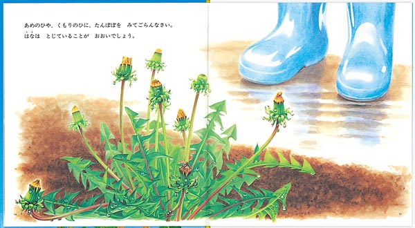 ݤݡʤΤȤ⳨ܡ[ʿ»]