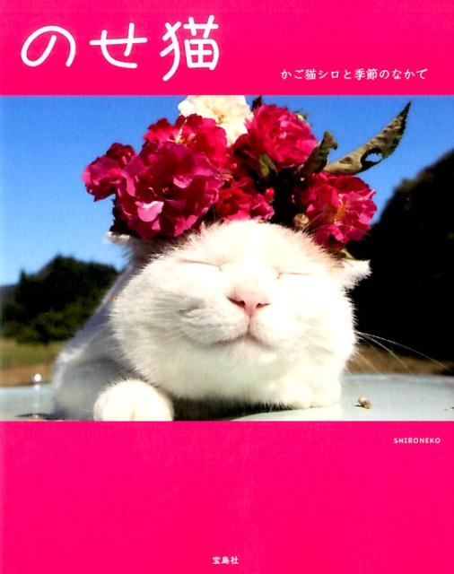 楽天ブックス のせ猫 かご猫シロと季節のなかで Shironeko 本