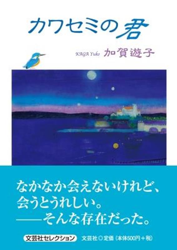 カワセミの君画像