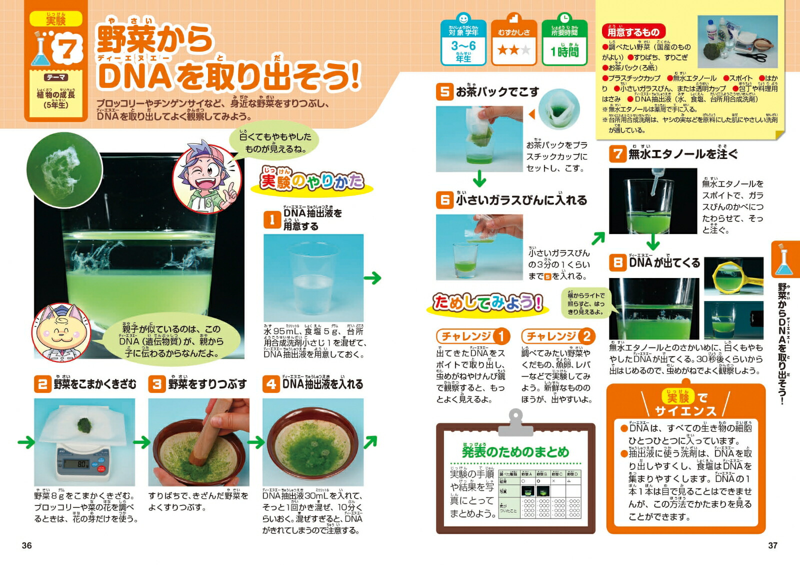 楽天ブックス 小学生の夏休み自由研究ブック 自由研究のおもしろアイデア80テーマ ガリレオ工房 本