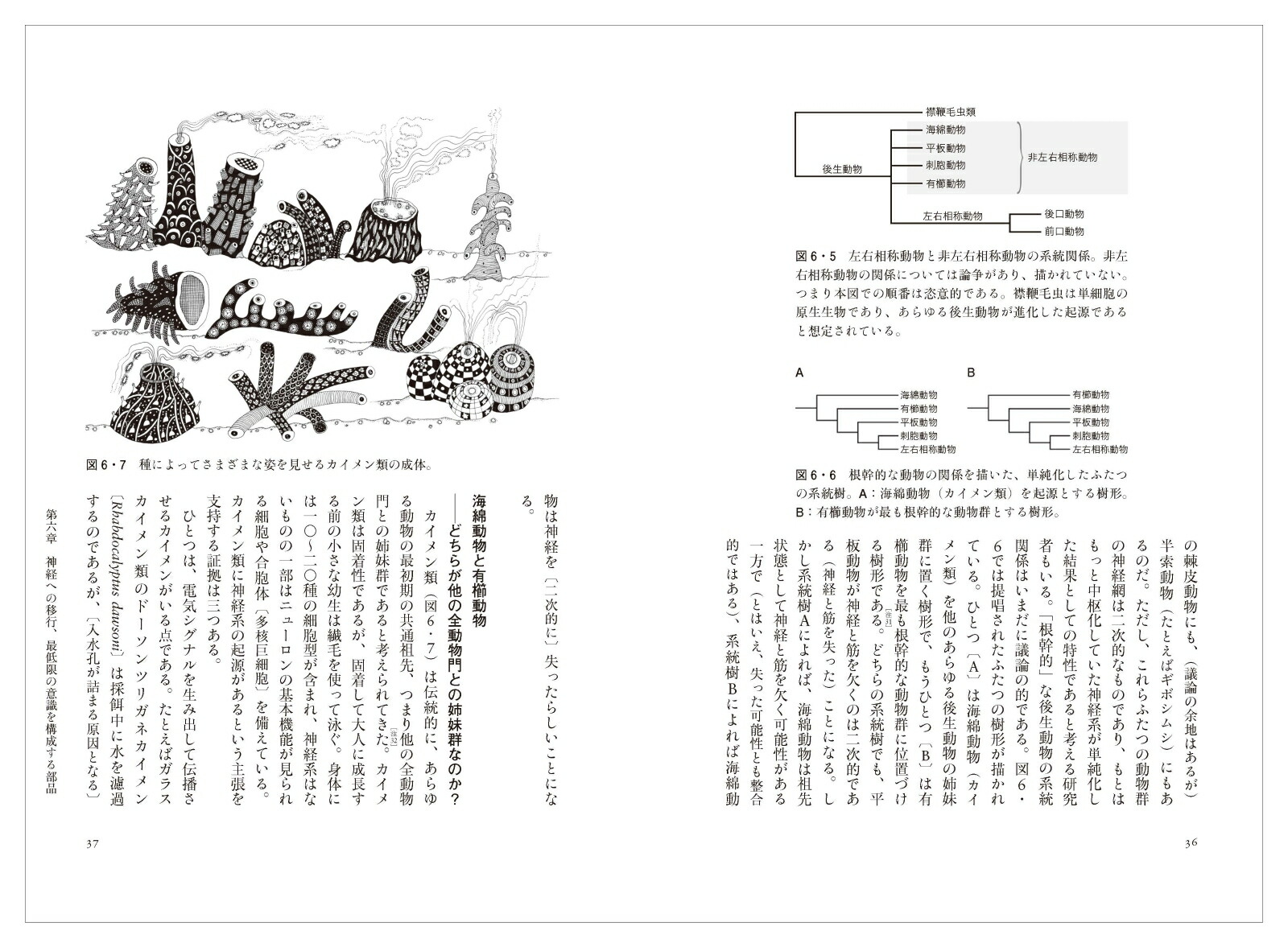 楽天ブックス 動物意識の誕生 下 生体システム理論と学習理論から解き明かす心の進化 シモーナ ギンズバーグ 本