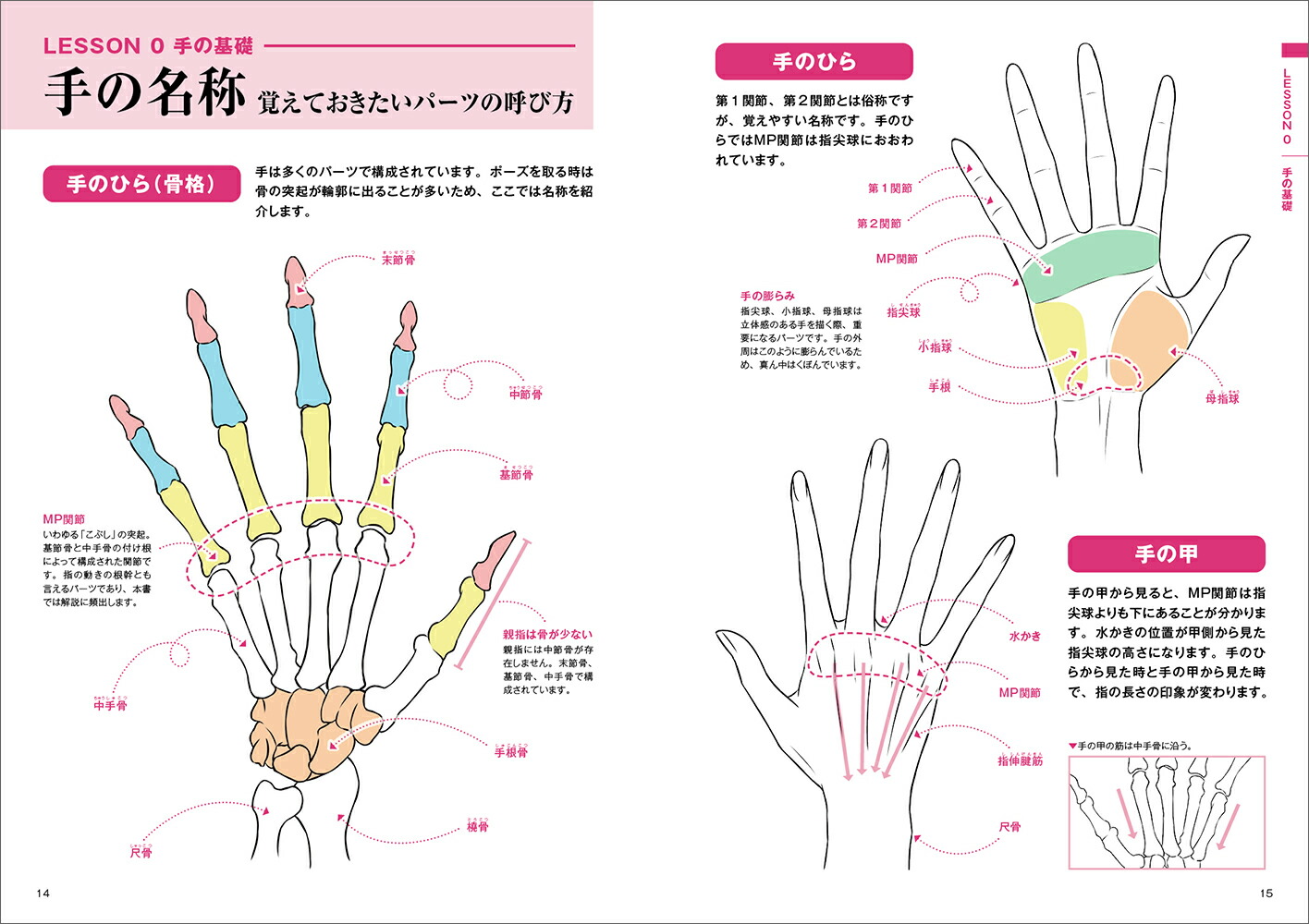 うつくしい手の描き方