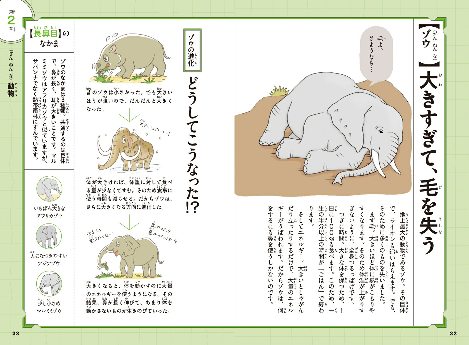 新ざんねんないきもの事典[今泉忠明]